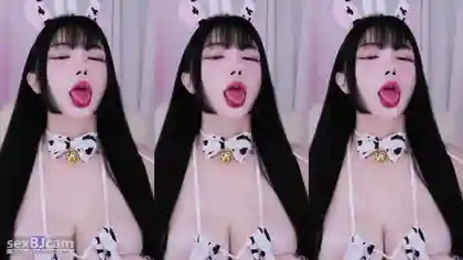 KBJ-24040913 kbj24040913_zzeongi2_20231205