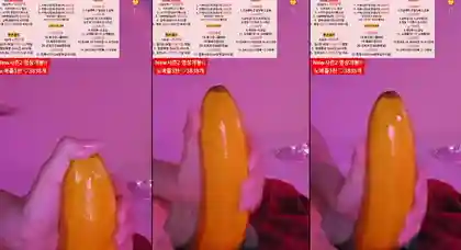 KBJ-24072070 kbj24072070_dkdlfjqm758_20240325