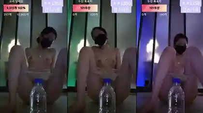 KBJ-24101457 kbj24101457_goldmandarin_20240719