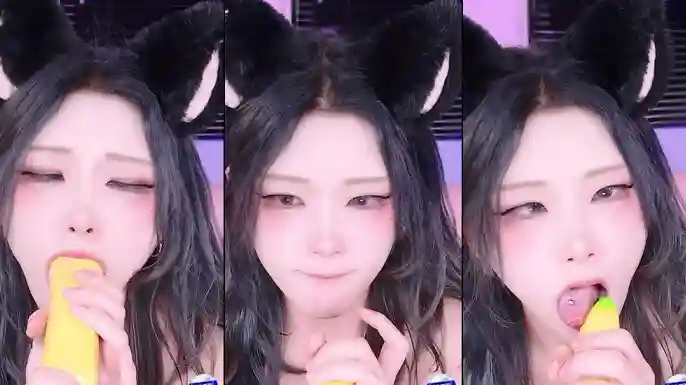 KBJ-24122659 kbj24122659_twingo1125_20241101