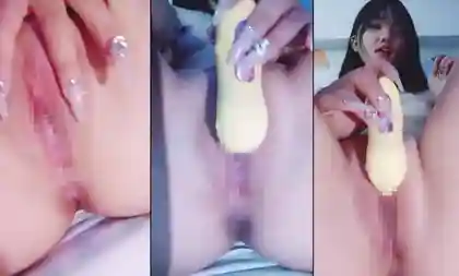 CN-23101210 CN23101210